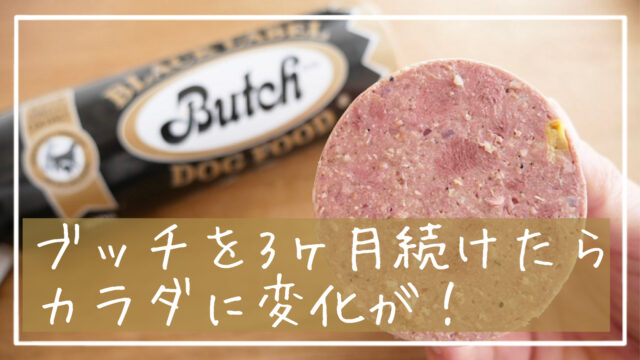 犬のリンパ腫治療日記 ブッチを3ヵ月続けたら肝臓の数値が改善 もふワン 犬と暮らす